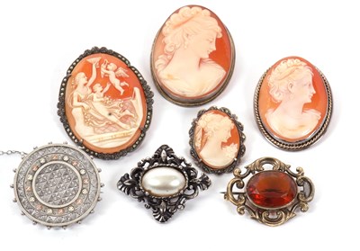 Lot 205 - Seven brooches: to include four oval shell...