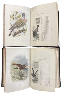 Lot 112 - W SWAYSLAND: FAMILIAR WILD BIRDS, volumes 1-2...