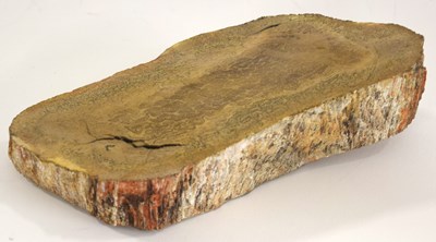 Lot 103 - Natural History and Paleontology interest:...