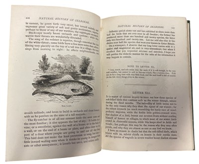 Lot 93 - THE REV GILBERT WHITE: THE NATURAL HISTORY OF...