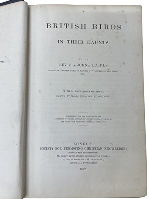 Lot 105 - REV C A JOHNS: BRITISH BIRDS IN THEIR HAUNTS,...
