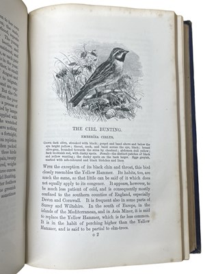 Lot 105 - REV C A JOHNS: BRITISH BIRDS IN THEIR HAUNTS,...