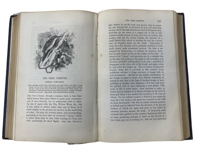 Lot 105 - REV C A JOHNS: BRITISH BIRDS IN THEIR HAUNTS,...