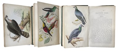 Lot 106 - ROBERT TYAS: BEAUTIFUL BIRDS, in 3 volumes,...