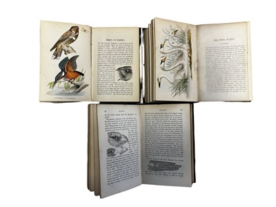 Lot 106 - ROBERT TYAS: BEAUTIFUL BIRDS, in 3 volumes,...