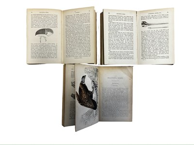 Lot 106 - ROBERT TYAS: BEAUTIFUL BIRDS, in 3 volumes,...