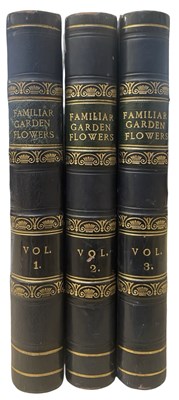 Lot 83 - SHIRLEY HIBBERD: FAMILIAR GARDEN FLOWERS, in 3...