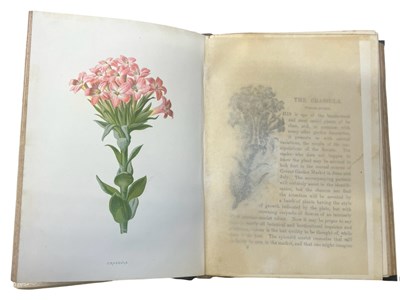 Lot 83 - SHIRLEY HIBBERD: FAMILIAR GARDEN FLOWERS, in 3...