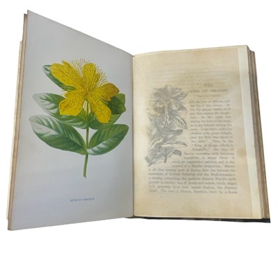 Lot 83 - SHIRLEY HIBBERD: FAMILIAR GARDEN FLOWERS, in 3...