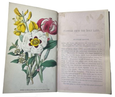 Lot 88 - ROBERT TYAS: FLOWERS FROM THE HOLY LAND BEING...
