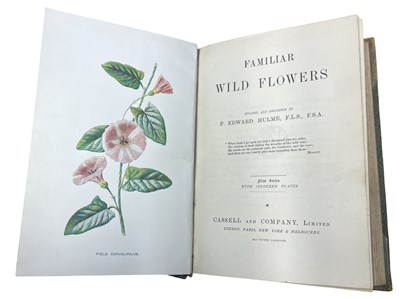 Lot 82 - F EDWARD HULME: FAMILIAR WILD FLOWERS, First...