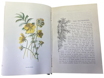 Lot 82 - F EDWARD HULME: FAMILIAR WILD FLOWERS, First...