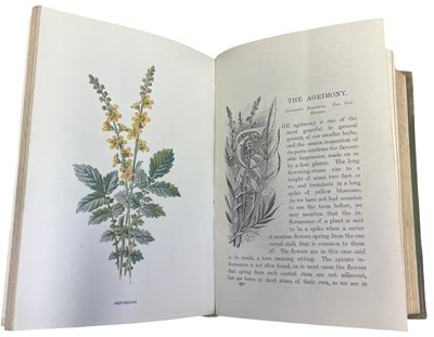 Lot 82 - F EDWARD HULME: FAMILIAR WILD FLOWERS, First...