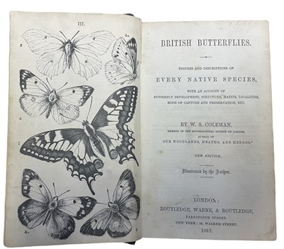 Lot 102 - W S COLEMAN: BRITISH BUTTERFLIES - FIGURES AND...