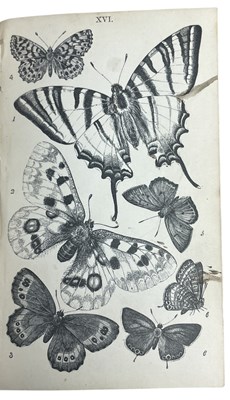 Lot 102 - W S COLEMAN: BRITISH BUTTERFLIES - FIGURES AND...