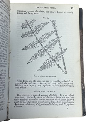 Lot 102 - W S COLEMAN: BRITISH BUTTERFLIES - FIGURES AND...