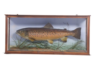 Lot 6 - First Quarter of the 20th Century cased...