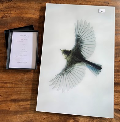 Lot 20 - Mark Harvey (British, contemporary), 'Blue Tit...