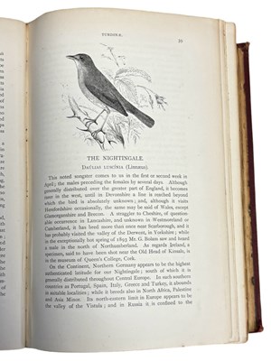 Lot 78 - HOWARD SAUNDERS: AN ILLUSTRATED MANUAL OF...
