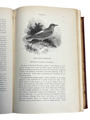 Lot 78 - HOWARD SAUNDERS: AN ILLUSTRATED MANUAL OF...