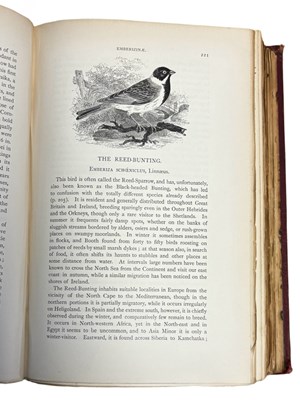 Lot 78 - HOWARD SAUNDERS: AN ILLUSTRATED MANUAL OF...