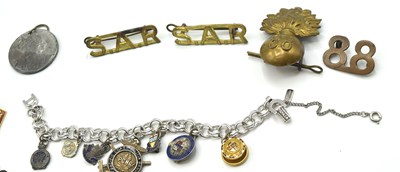 Lot 72 - Quantiy of badges to include S A R shoulder...