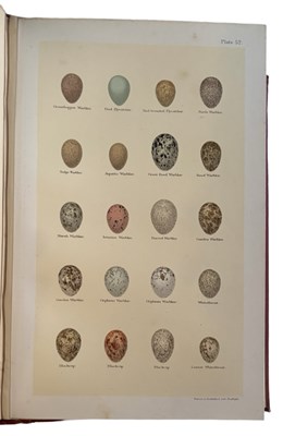 Lot 41 - HENRY SEEBOHM and R BOWDLER SHARPE [Ed]:...