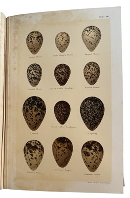 Lot 41 - HENRY SEEBOHM and R BOWDLER SHARPE [Ed]:...