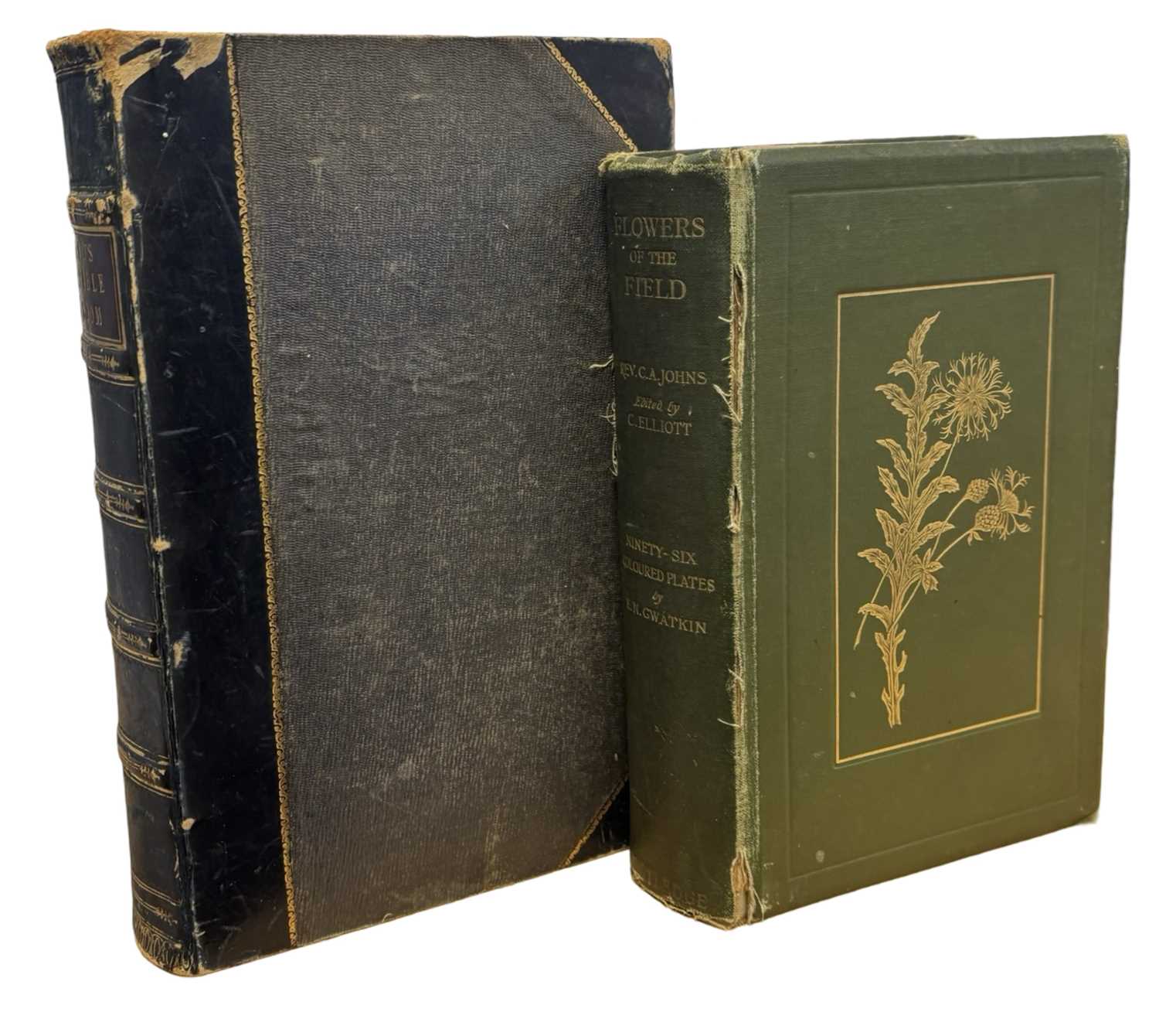 Lot 31 - NATURAL HISTORY INTEREST: 2 Titles: REV C A...