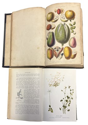 Lot 31 - NATURAL HISTORY INTEREST: 2 Titles: REV C A...