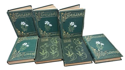 Lot 28 - F EDWARD HULME: FAMILIAR WILD FLOWERS, London,...