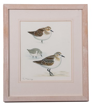Lot 156 - Stephen Message (British, b.1968), "Little...