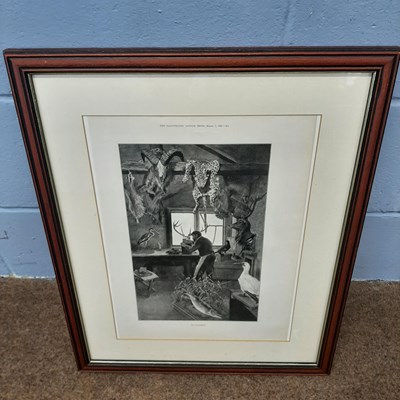 Lot 50 - Taxidermy interest: Framed Lithograph from...