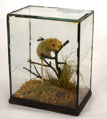 Lot 23 - Late Victorian / Early 20th century Rowland...