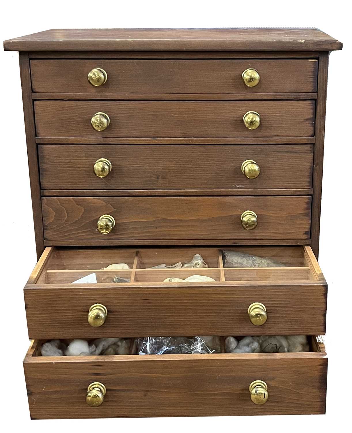 Lot 58 - Collectors cabinate with specimins