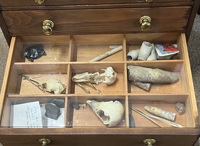 Lot 58 - Collectors cabinate with specimins