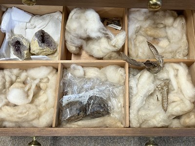 Lot 58 - Collectors cabinate with specimins