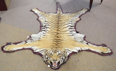Lot 31 - Rowland Ward Taxidermy Tiger Skin rug, circa...