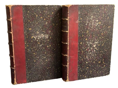 Lot 1018 - EARLY MAN AND PREHISTORIC TIMES. 1881 Les...
