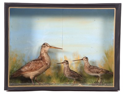 Lot 44 - Taxidermy cased Woodcock together with Jack...