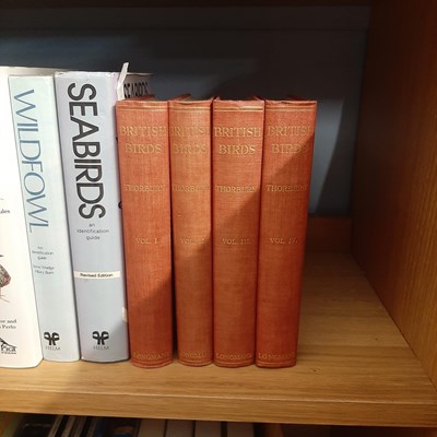 Lot 96 - Ornithological book interest: 'British Birds' -...