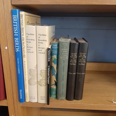 Lot 98 - Ornithological book interest; Quantity of...