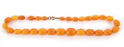 Lot 226 - An amber bead necklace, the oval butterscotch...