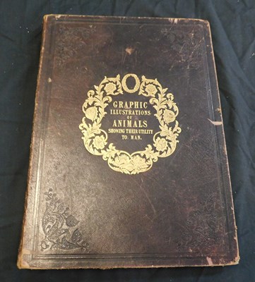 Lot 62 - ANON: GRAPHIC ILLUSTRATIONS OF ANIMALS SHOWING...