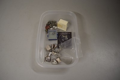 Lot 107 - BOX OF MIXED ITEMS TO INCLUDE CHARM BRACELETS