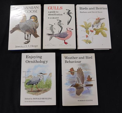 Lot 312 - T R BIRKHEAD: THE MAGPIES, London, T & A D...