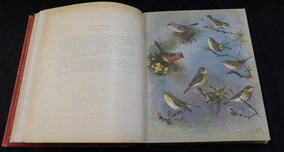 Lot 317 - ARCHIBALD THORBURN: BRITISH BIRDS, London,...