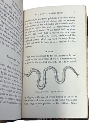 Lot 81 - W B LORD: SEA FISH AND HOW TO CATCH THEM,...