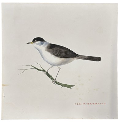 Lot 1040 - ORNITHOLOGY - BIRDS. Beautifully carried out...