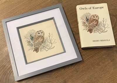 Lot 101 - Ian Willis (1944-2024), Tawny Owl study,...